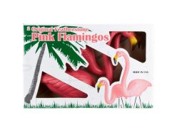 Flamant Rose Featherstone USA