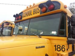 School Bus 