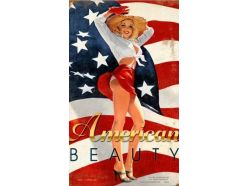 Grande plaque XL AMERICAN-BEAUTY
