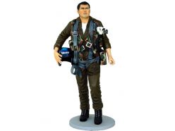 TOP GUN .
