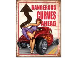 Plaque en métal Dangerous Curves